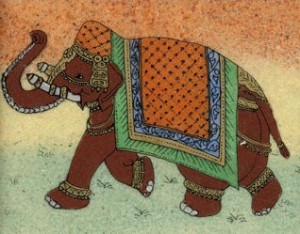 Indian elephant